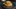 S_5001989.jpg